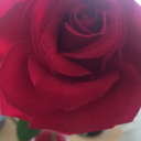 blvckperfection avatar