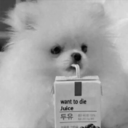 blvckunicornq avatar