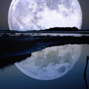 blvd-of-the-broken avatar