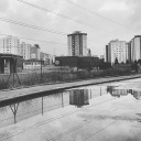 bnwphotography avatar