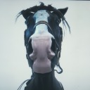 boadicea-1111 avatar