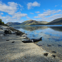 boatingaccidentz avatar