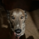 bobbyboysthings avatar