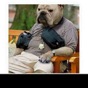 bobbyelvis01-blog avatar