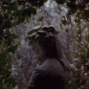 bobbyinthegarden avatar