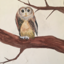 bobemianmaverick avatar