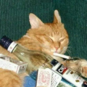 bobertschlobert avatar