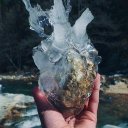 bobloblawlawblog12 avatar