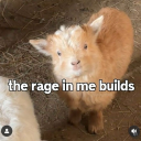 bobulousburntham avatar