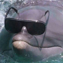 bobweirlovebot avatar