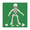 bodiesdotblog avatar