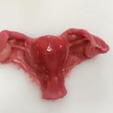 bodily-autonomy-body-neutrality avatar