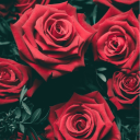 bodombeach-terror avatar