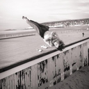 body-never-lies-blog avatar