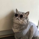 bodybypeanutbutter avatar