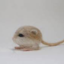 bodysnatching avatar