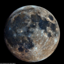 bog-connoisseur avatar