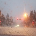 bogpollywoggle avatar