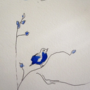 bohemejetaime avatar