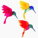 bohemeus1-blog avatar