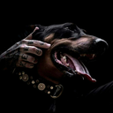 bohemianbitchess avatar