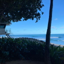 bohemianclarity avatar