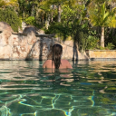 bohemianflowerchiild avatar