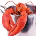 boiled-crustacean avatar