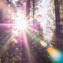 boiling-kettle avatar