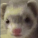 boinkerstheboinkening avatar