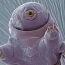 boinklydoinklysploinkly avatar