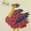 boirb avatar