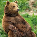 bolbiistroganovsky avatar