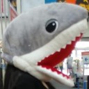 boldlyangryshark avatar