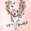 boldlyenchantingyouth avatar