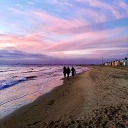 boldlygoandsee avatar