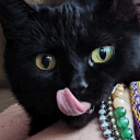 boldlygreatsuit avatar