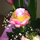 boldogsag-te-kurva avatar