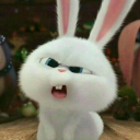 bollyaficianado avatar