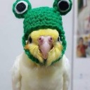 bolo-de-chocolate avatar