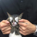 bomchickawowwoww avatar