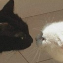 bomontisblogger avatar