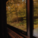 bonafide-bullshit avatar