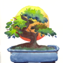 bonbonbonsai avatar