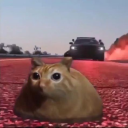 bonbonburgerpants avatar