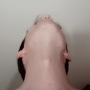 bondagetwinkfetish avatar