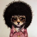 bondi-kravitz avatar