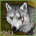 bone-wolves avatar