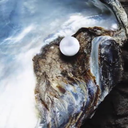 bonedesert-blog avatar