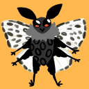 bonelessmoth avatar